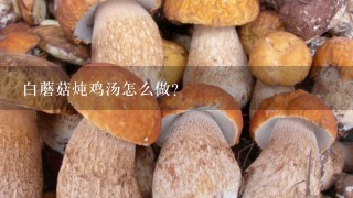 白蘑菇炖鸡汤怎么做？