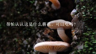 帮忙认认这是什么蘑菇，可以吃吗？