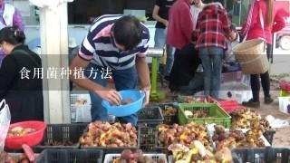 食用菌种植方法