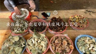 求音乐：冬虫夏草和铁皮风斗怎么吃