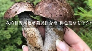 我的世界褐色蘑菇属性介绍 褐色蘑菇有什么作用