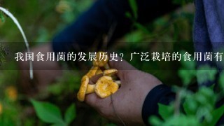 我国食用菌的发展历史？广泛栽培的食用菌有哪些？