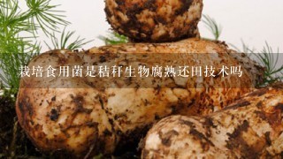 栽培食用菌是秸秆生物腐熟还田技术吗