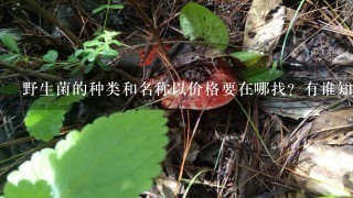 野生菌的种类和名称以价格要在哪找？有谁知道野生菌的名称和价格？最好是表格回答，谢谢！