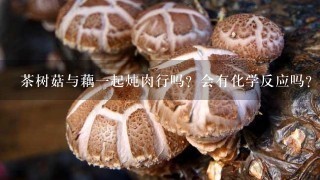 茶树菇与藕1起炖肉行吗？会有化学反应吗？