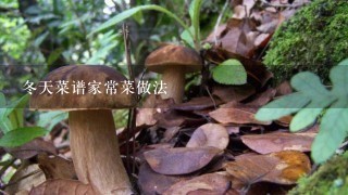 冬天菜谱家常菜做法