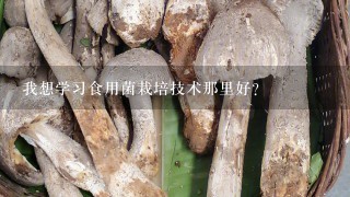 我想学习食用菌栽培技术那里好？