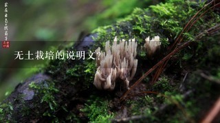 无土栽培的说明文？