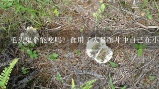 毛头鬼伞能吃吗？食用了大量图片中自己在小区草丛中采的蘑菇，会中毒吗？