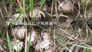 野生茶树菇可以炒剁辣椒吗？