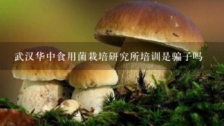 武汉华中食用菌栽培研究所培训是骗子吗