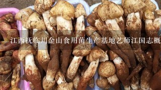 江西抚临川金山食用菌生产基地艺师江国志概况