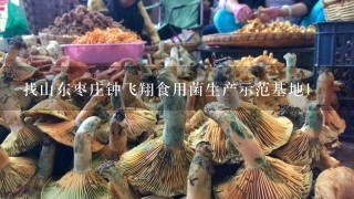 找山东枣庄钟飞翔食用菌生产示范基地1