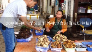 求视频:网上学习班野外林地食用菌栽培种植技术 >