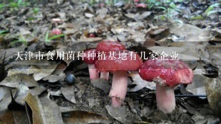 天津市食用菌种种植基地有几家企业