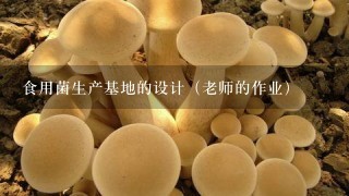 食用菌生产基地的设计（老师的作业）