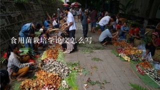 食用菌栽培学论文怎么写