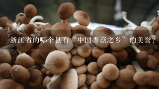 浙江省的哪个县有“中国香菇之乡”的美誉？