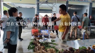 想在家里房间种植食用菌，该如何操作