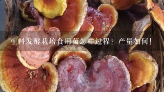 生料发酵栽培食用菌怎样过程？产量如何！