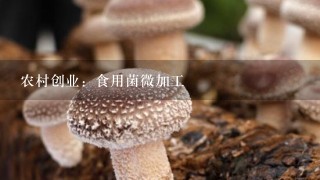 农村创业：食用菌微加工