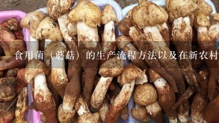 食用菌（蘑菇）的生产流程方法以及在新农村示范村的市场可行性分析