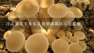 浮山县北王乡东亲食用菌栽培示范基地
