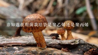 谁知道食用菌栽培袋是聚乙烯还是聚丙烯