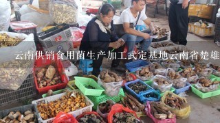 云南供销食用菌生产加工武定基地云南省楚雄彝族自治