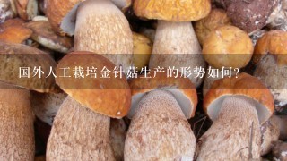 国外人工栽培金针菇生产的形势如何？