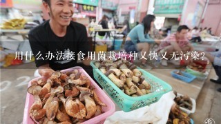 用什么办法接食用菌栽培种又快又无污染?