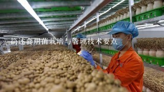 简述食用菌栽培与管理技术要点