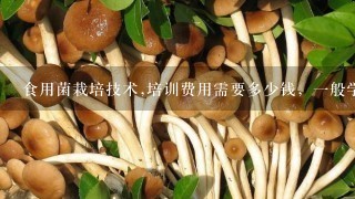 食用菌栽培技术,培训费用需要多少钱，1般学会需要多长时间？