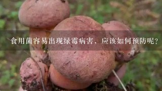 食用菌容易出现绿霉病害，应该如何预防呢？