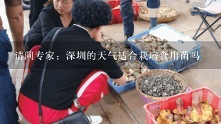 请问专家：深圳的天气适合栽培食用菌吗
