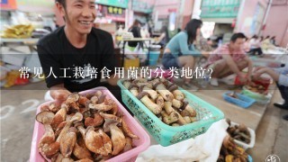 常见人工栽培食用菌的分类地位？