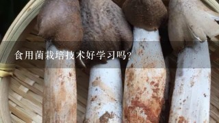 食用菌栽培技术好学习吗？