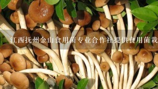 江西抚州金山食用菌专业合作社提供食用菌栽培技术各菌种销售吗