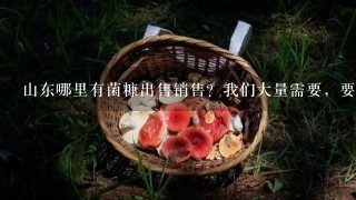 山东哪里有菌糠出售销售？我们大量需要，要求含水量