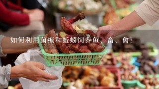 如何利用菌糠和蚯蚓饲养鱼、畜、禽？