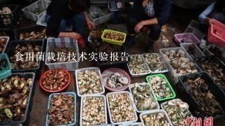 食用菌栽培技术实验报告