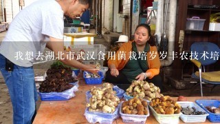 我想去湖北市武汉食用菌栽培岁岁丰农技术培训班学习,那里安全吗??