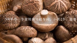 500平方1个食用菌种植车间，1共2个，需要用什么那