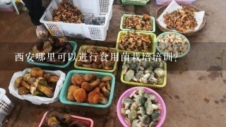 西安哪里可以进行食用菌栽培培训？