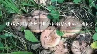 哪些食用菌栽培可用生料栽培?生料与熟料谁产量高?各自有哪些优缺点?