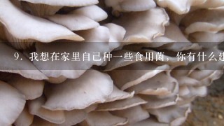 9. 我想在家里自己种一些食用菌，你有什么建议吗？