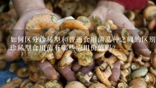 如何区分珍稀型和普通食用菌品种之间的区别