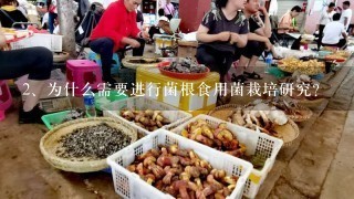 <br/>2、为什么需要进行菌根食用菌栽培研究？