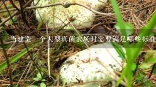 当建造1个大型真菌农场时需要满足哪些标准与要求?