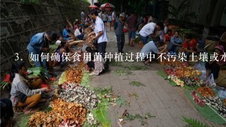 3. 如何确保食用菌种植过程中不污染土壤或水源吗？有哪些措施可以帮助减少有害物质排放到环境中的影响呢？